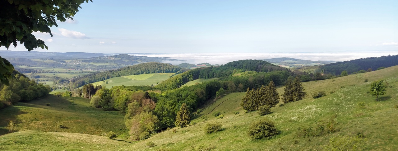 Rhoen Panorama