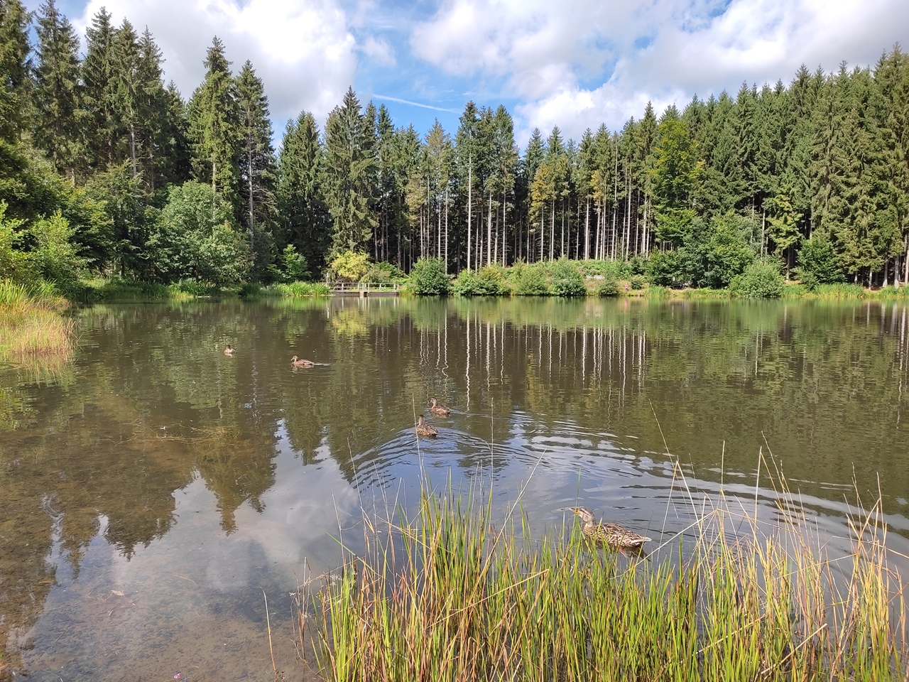 Rothsee Bauersberg Rhoen